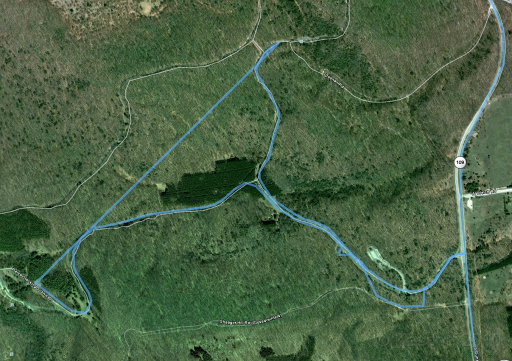 Michigan TC 2010-07 0583.jpg - The Pierce Stocking Scenic Drive.